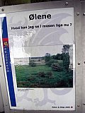Oelene