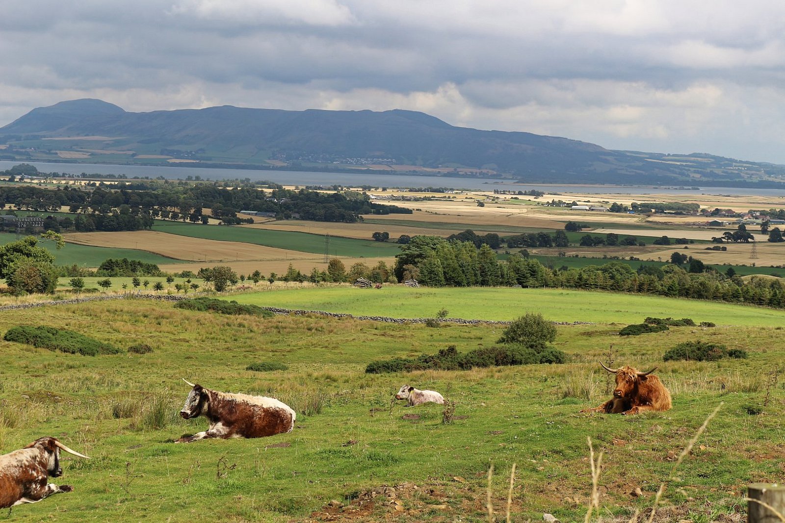 Perth - Edinburgh