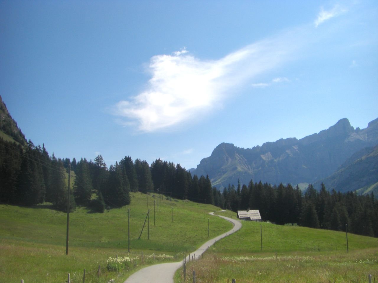Col du Pillon - Lac de Hongrin