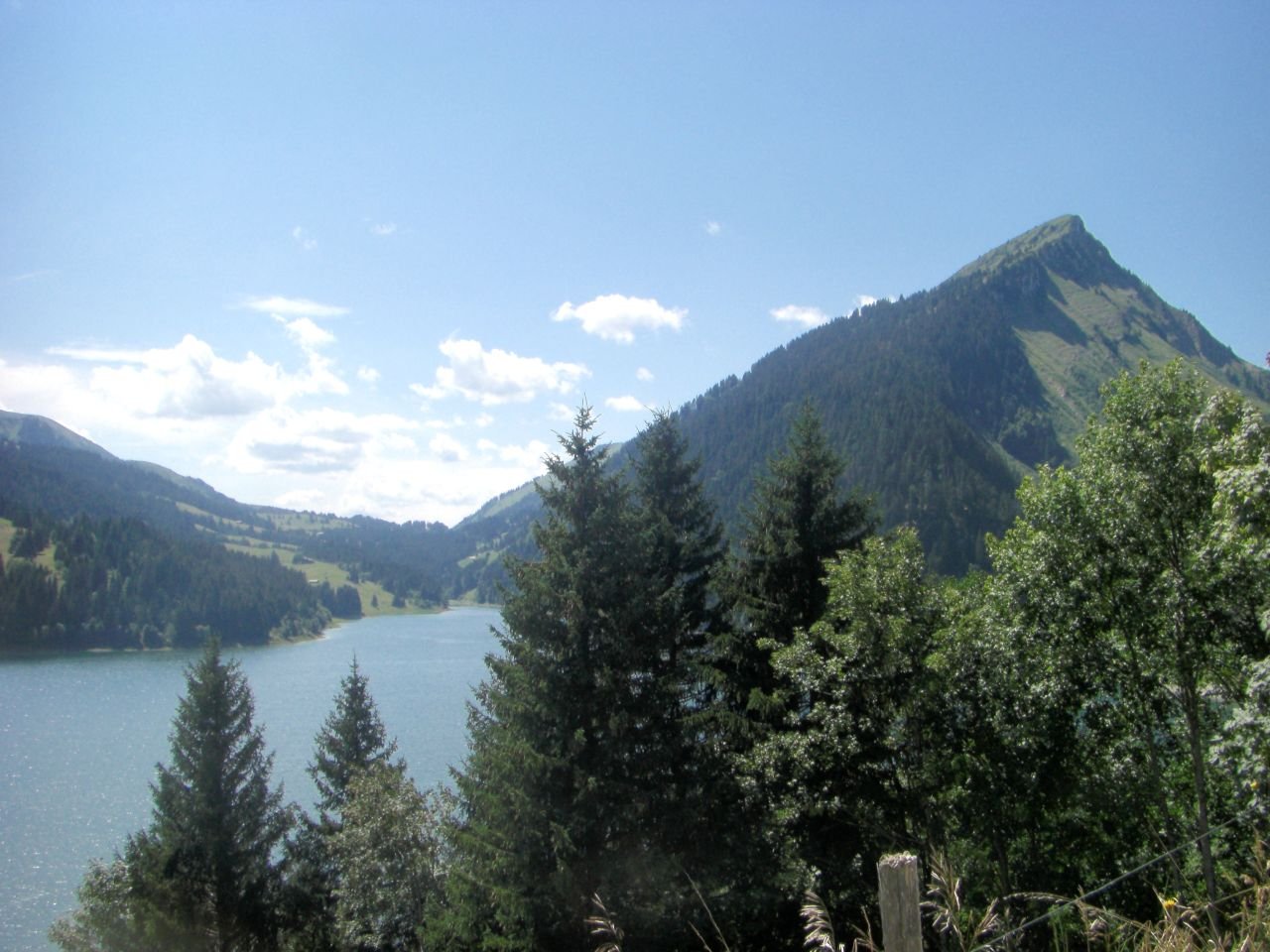 Col du Pillon - Lac de Hongrin