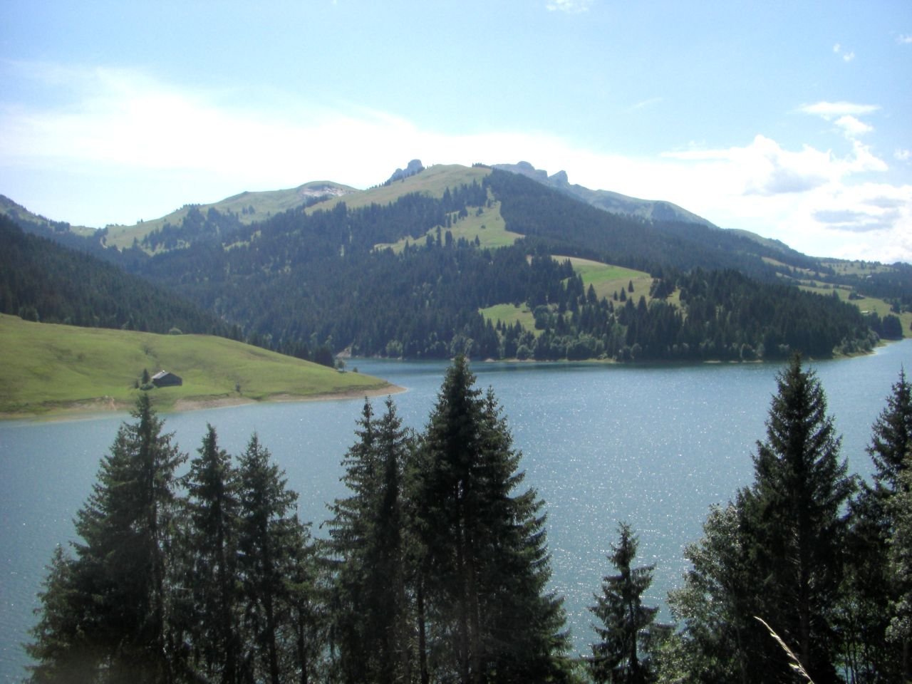 Col du Pillon - Lac de Hongrin