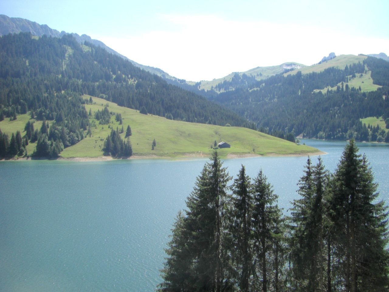 Col du Pillon - Lac de Hongrin
