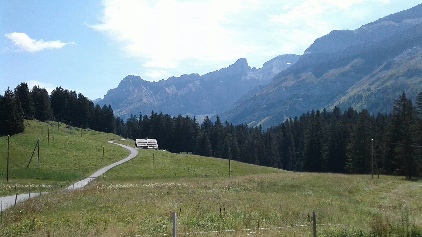 Col du Pillon - Lac de Hongrin
