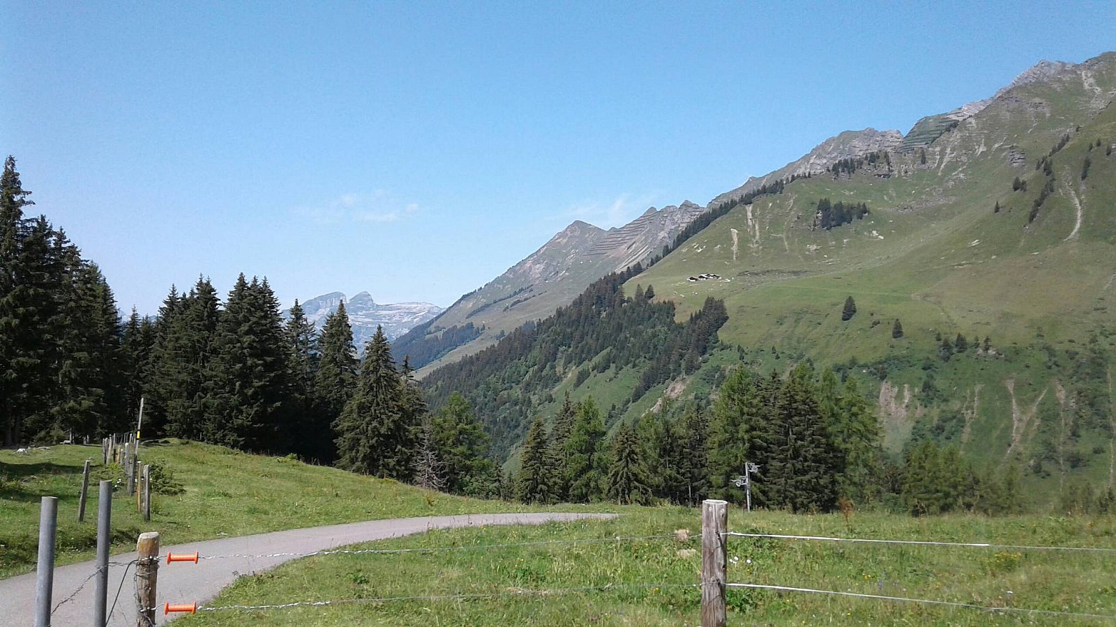 Col du Pillon - Lac de Hongrin
