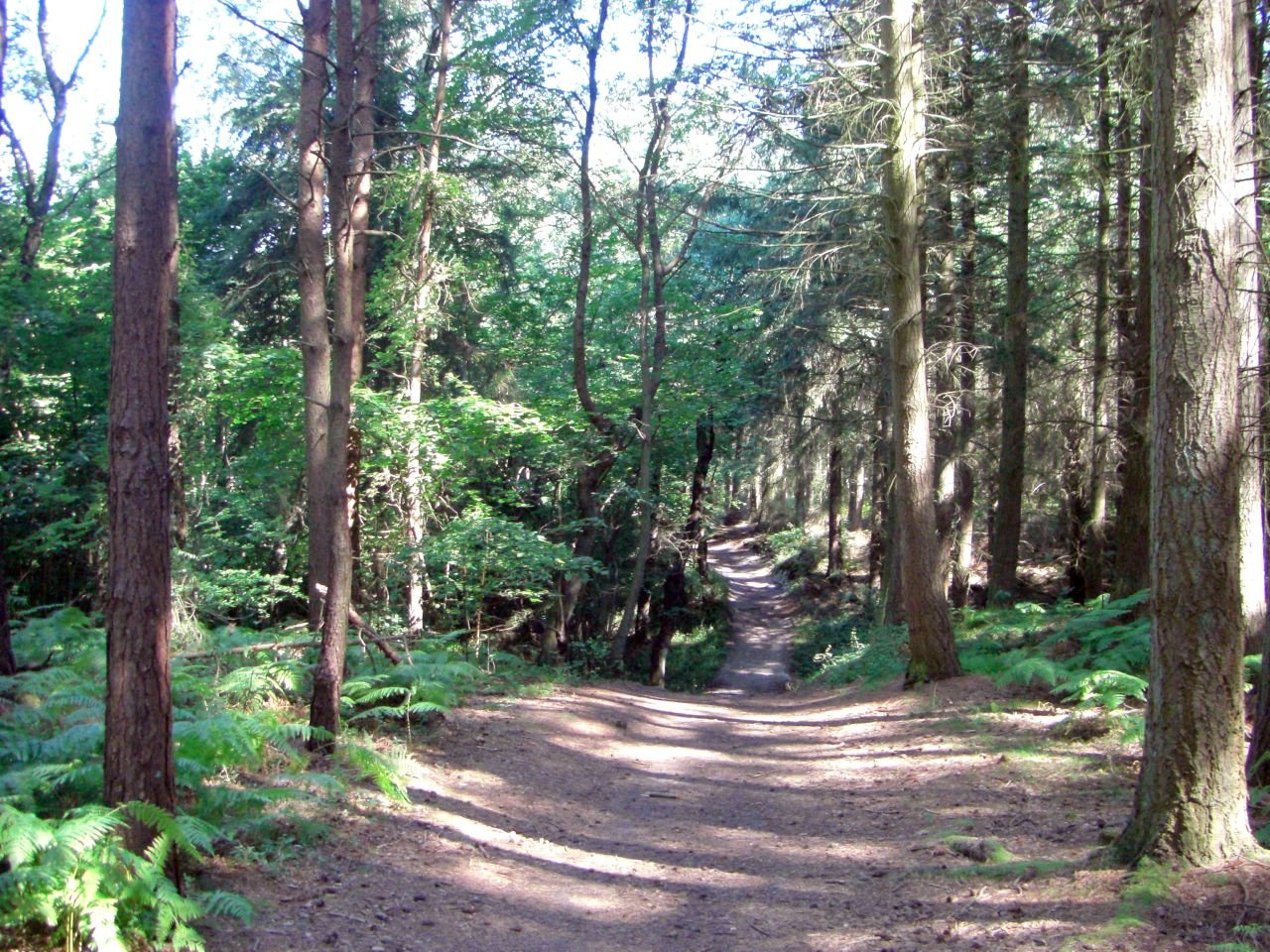 Rönne - Hasle - Vang