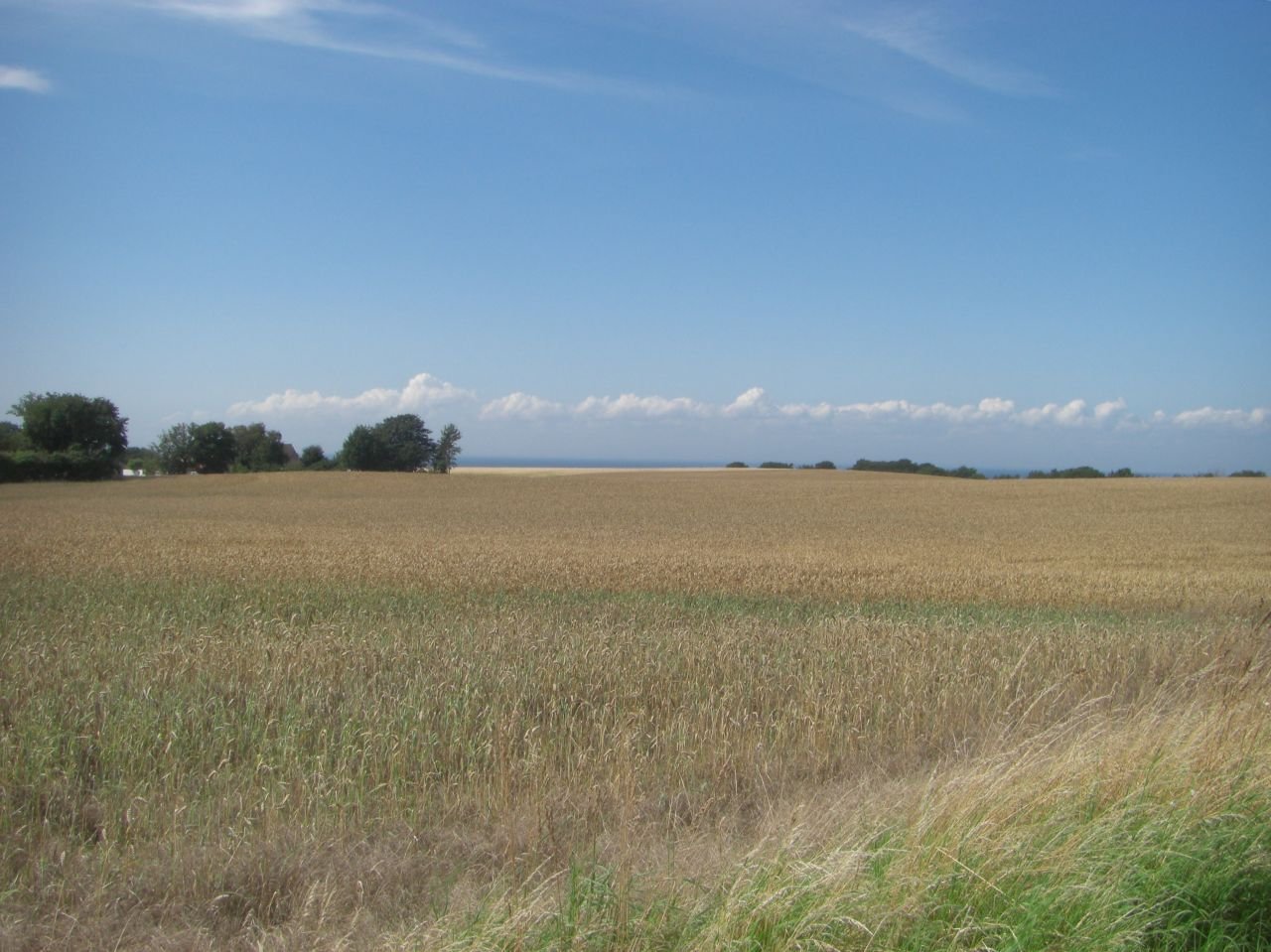 Rönne - Hasle - Vang