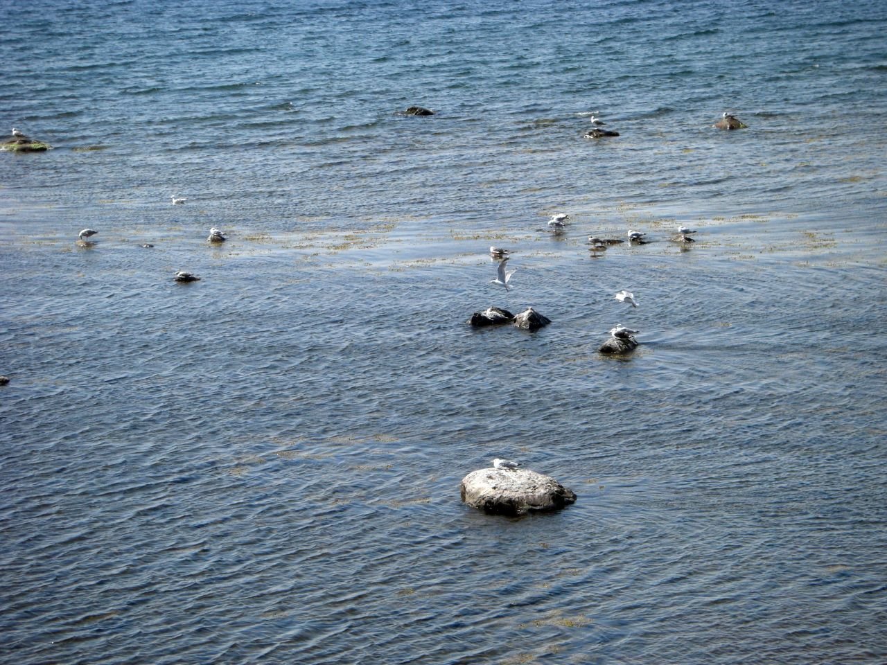 Rönne - Hasle - Vang