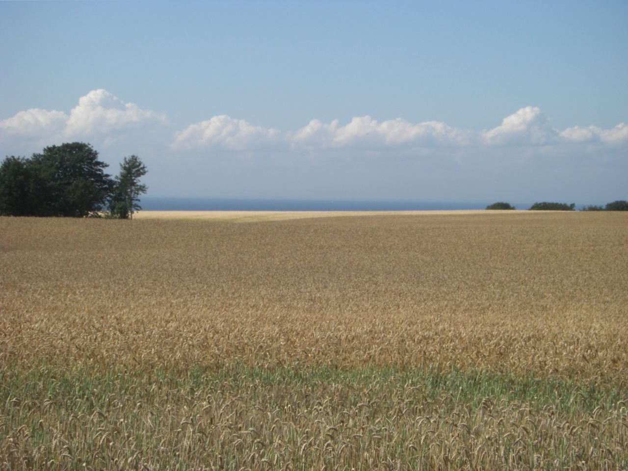Rönne - Hasle - Vang