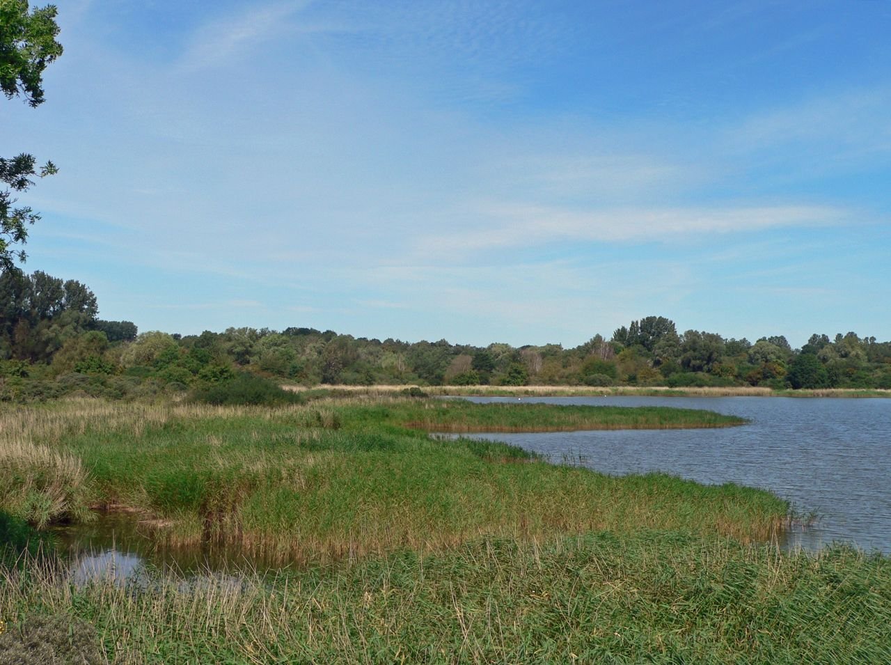 Rügen