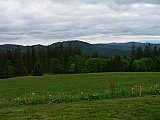 Impressionen aus dem Schwarzwald