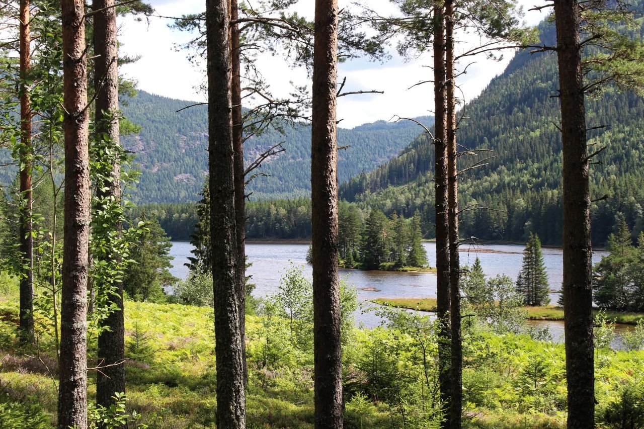 Setesdal - TrollAktiv
