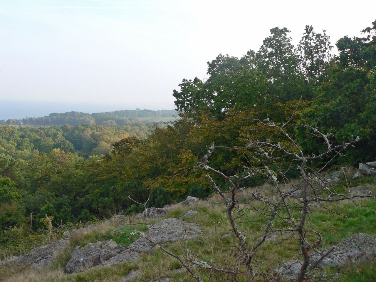 Stenshuvuds Nationalpark (SE)