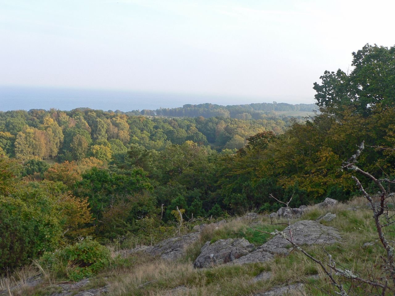 Stenshuvuds Nationalpark (SE)