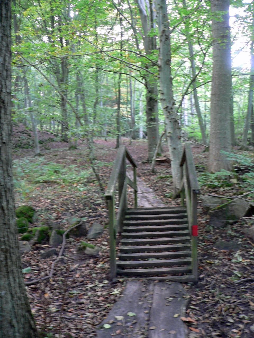 Stenshuvuds Nationalpark (SE)