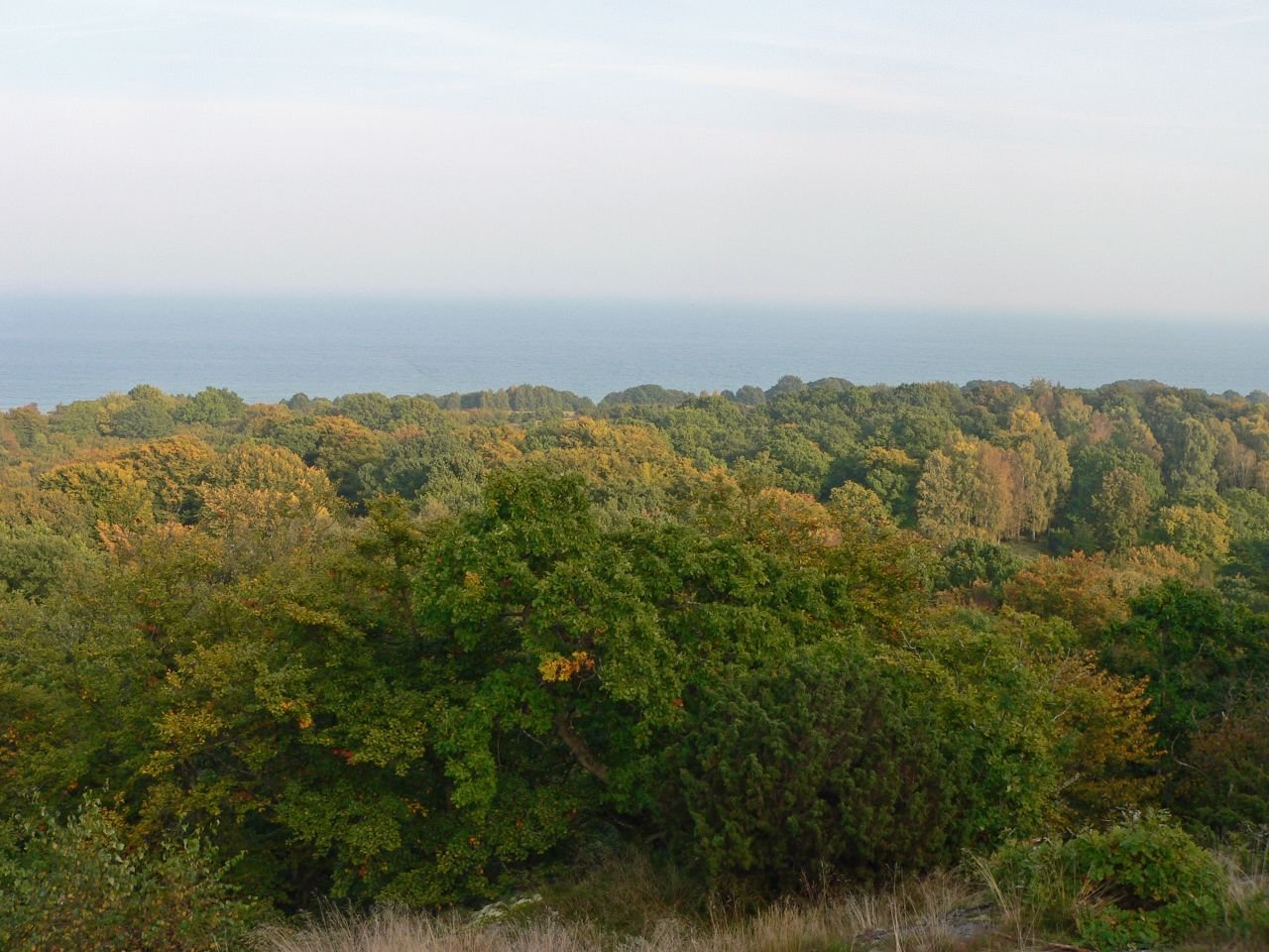 Stenshuvuds Nationalpark (SE)