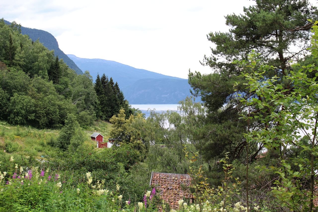 Vindedal - Laerdal