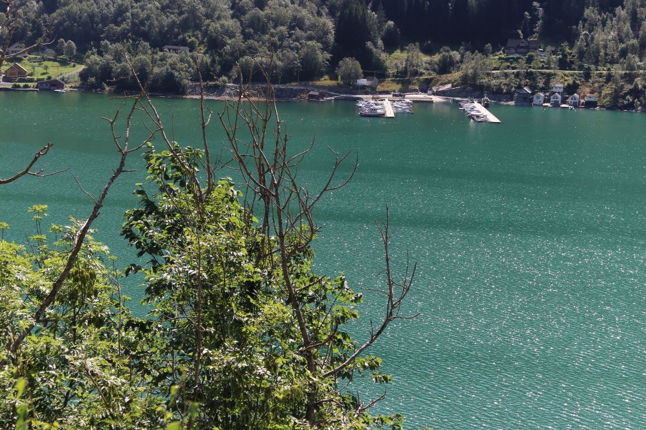 Voss - Utne - Odda
