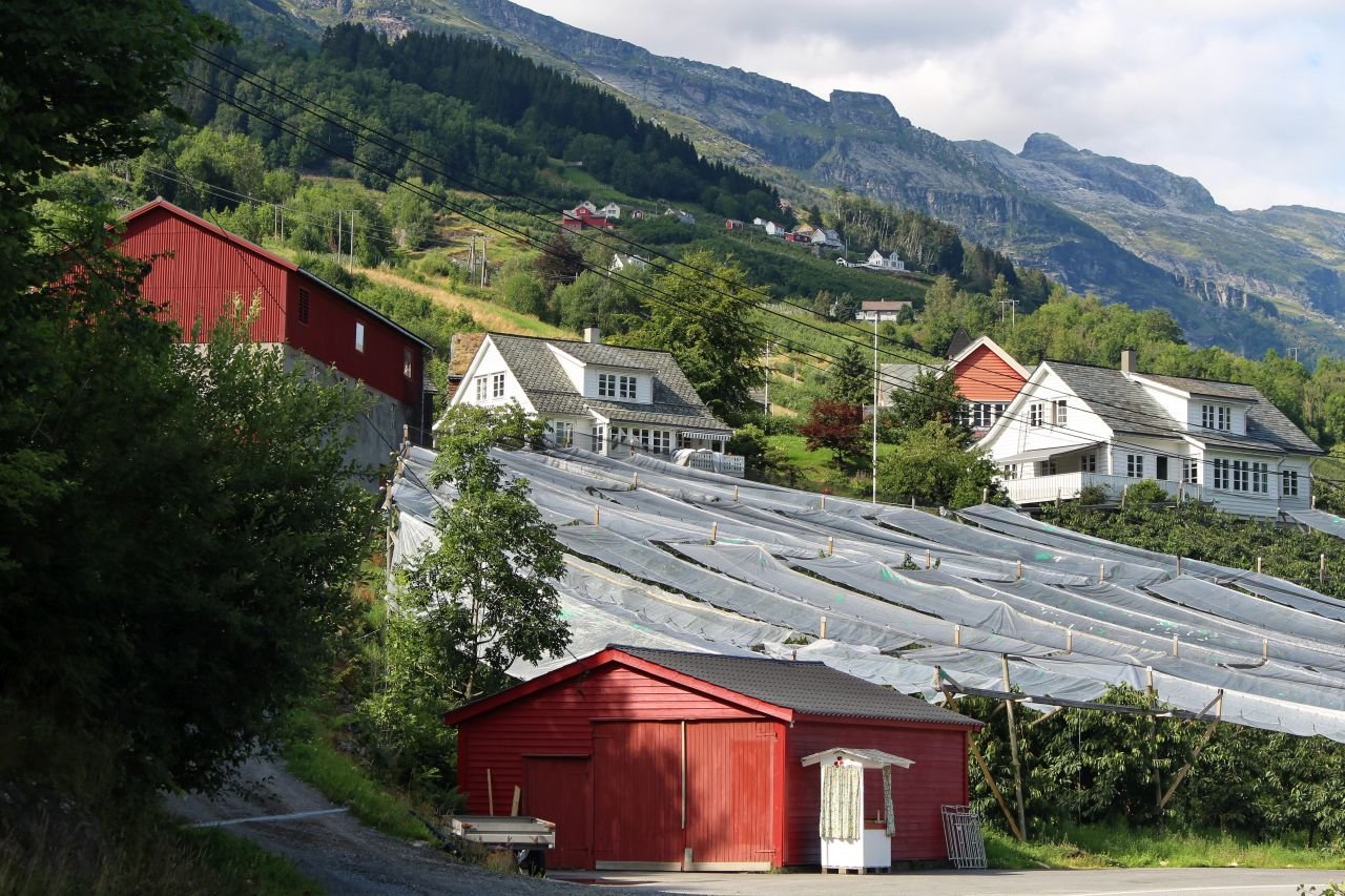 Voss - Utne - Odda