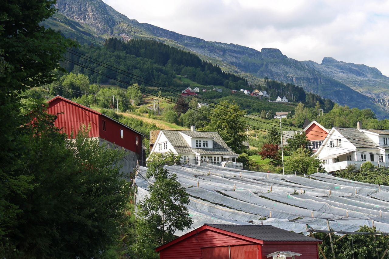Voss - Utne - Odda