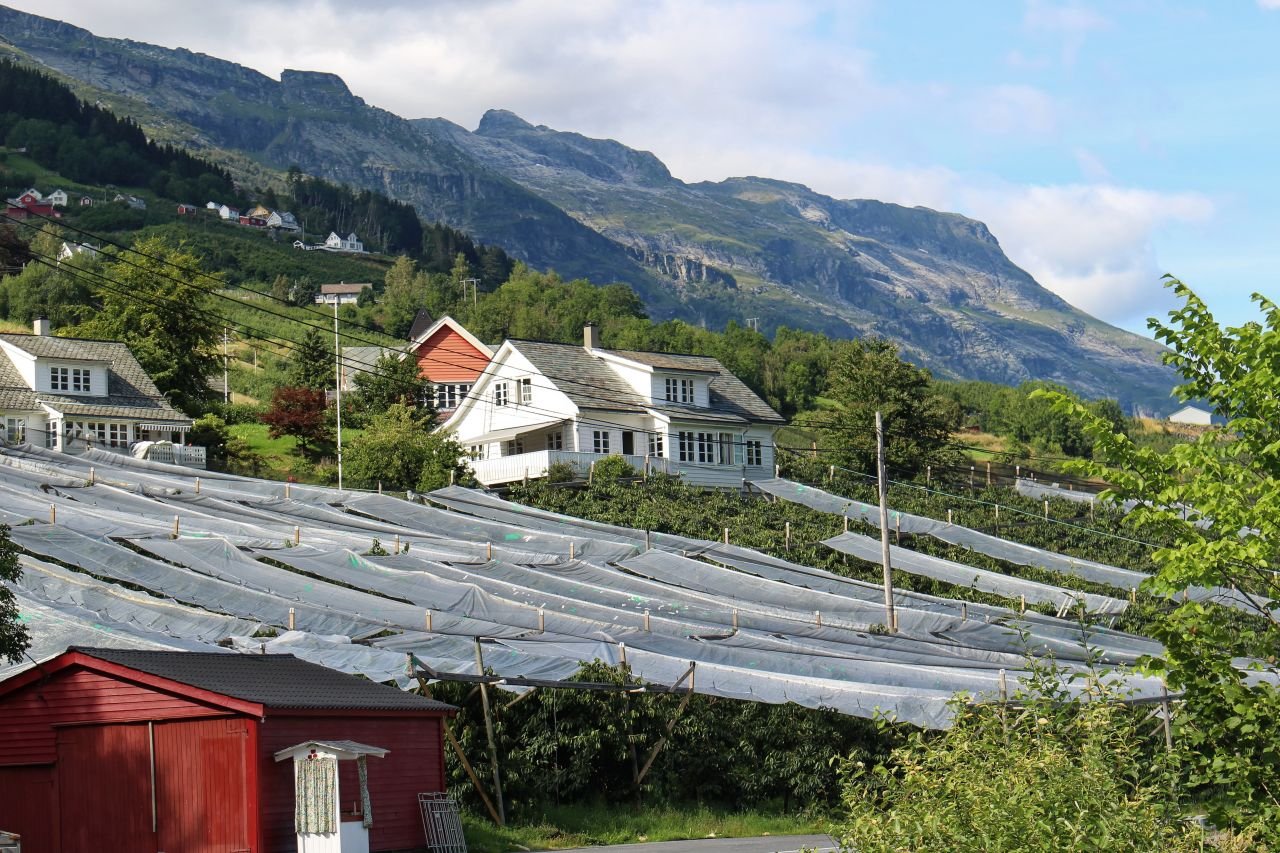 Voss - Utne - Odda